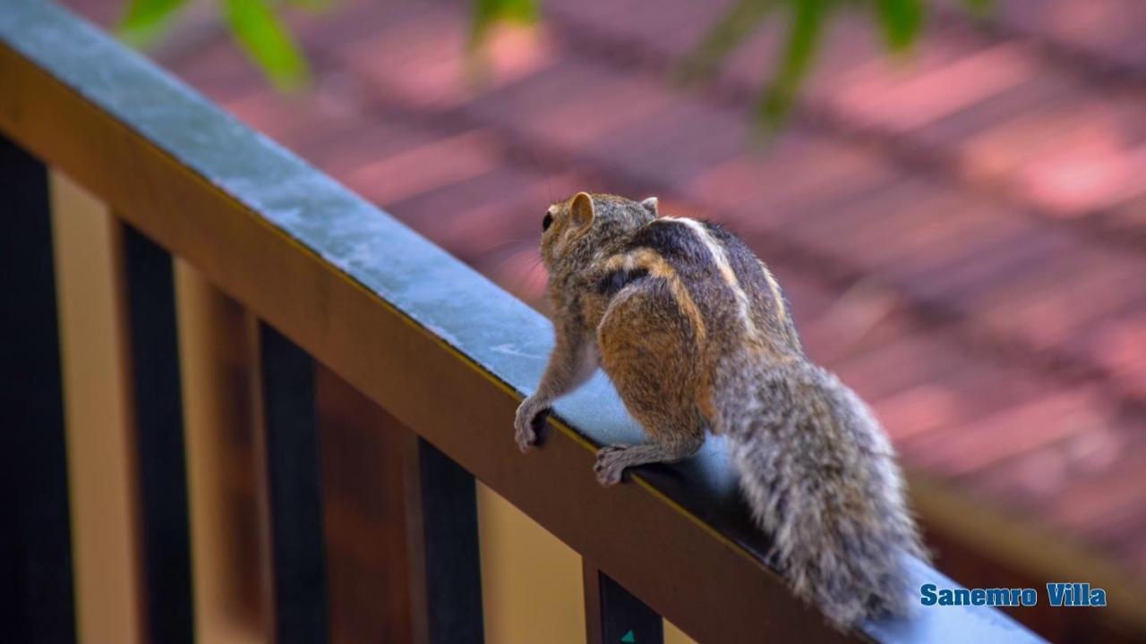 サネムロ ヴィラ ダンブッラ エクステリア 写真